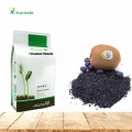 90%-100% Humic Acid Extract From Leonardite Potassium Humate Granular